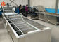 Βιομηχανικός φυτικός εξοπλισμός πλύσης 800 Kg/H ικανότητας εκτός από την υψηλή αποδοτικότητα νερού