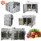 Εμπορικού βαθμού αυτόματο τροφίμων επεξεργασίας Dehydrator τροφίμων 6 δίσκων μηχανών επαγγελματικό