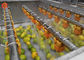 Μικρή χορταριών φυτική επεξεργαστών μηχανών φρούτων εκροή υψηλού νερού λαχανικών καθαρότερη